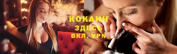 спиды Бородино
