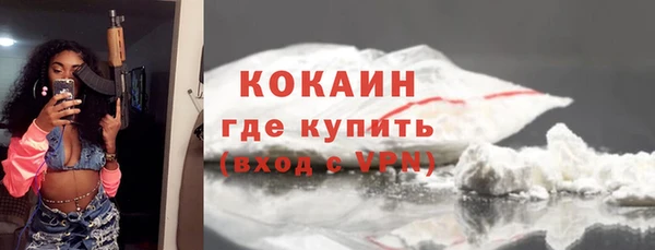 гидра Бронницы