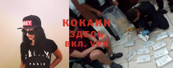 mdma Богородск