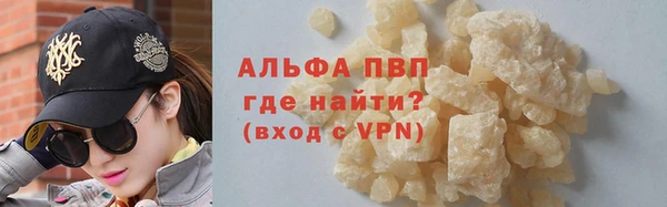 спиды Бородино
