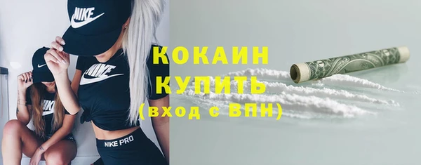 стаф Богородицк