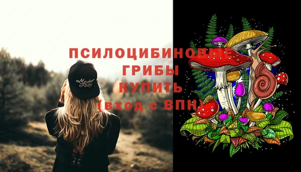 гашиш Богданович
