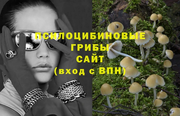гашиш Богданович