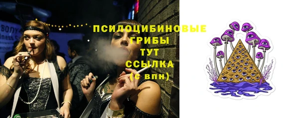 спайс Беломорск