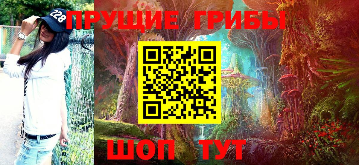 Галлюциногенные грибы Psilocybine cubensis  Вход с VPN  Вязники  Галлюциногенные грибы Magic Shrooms 