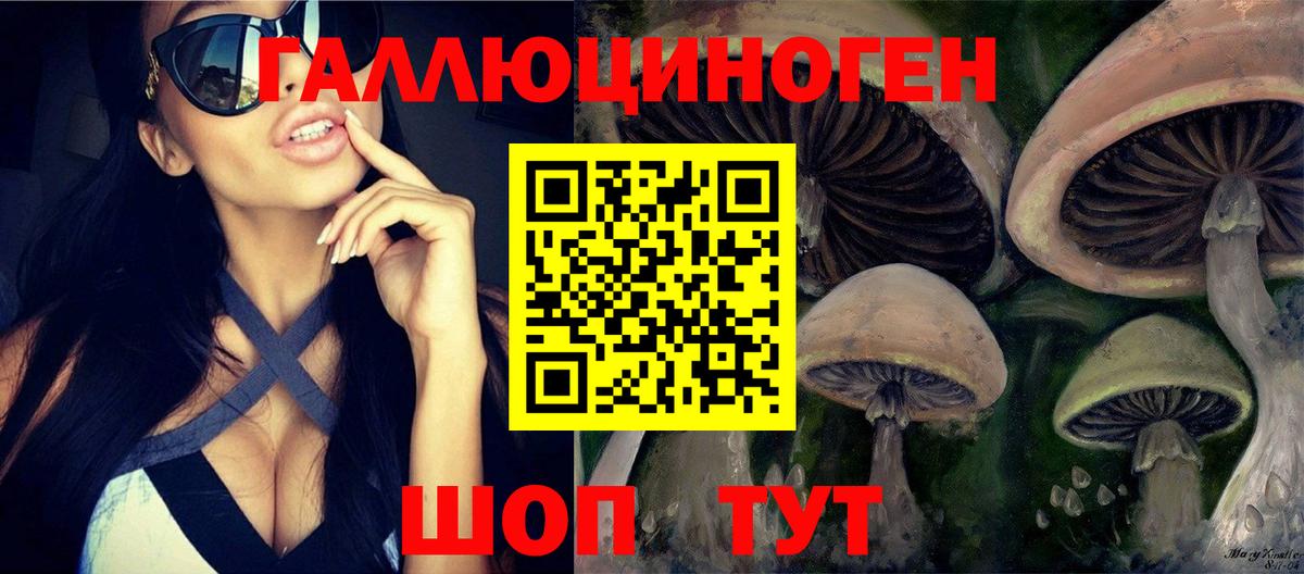 Псилоцибиновые грибы Cubensis Вязники